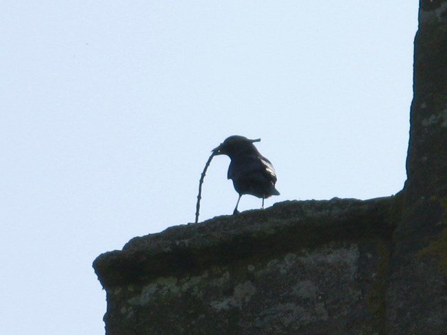 Where Do You Want This...