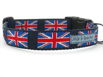 british dog collar