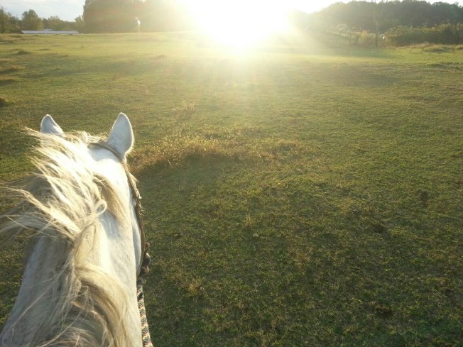 155632_10101238321420803_293739568_n