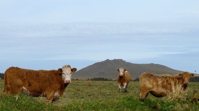 Bodmin Moor, Garrow Tor, John Winchurch