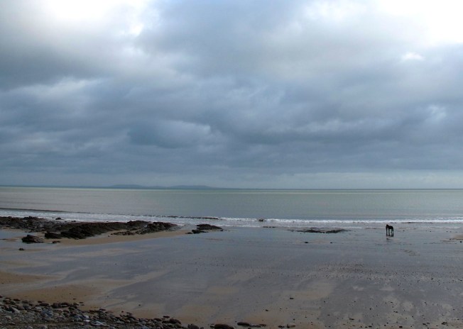 My Last Photo ... Not Yet