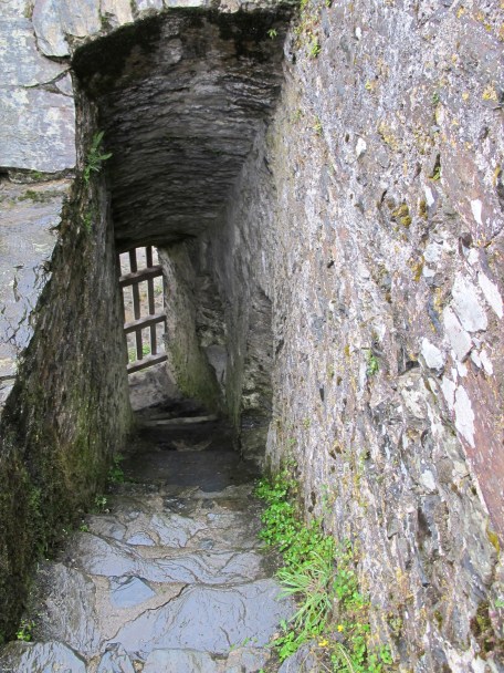 Patrice & Lisa, Restormel Castle