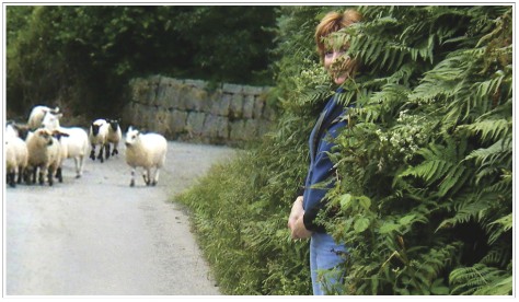 Sheepish E - Elizabeth Harper