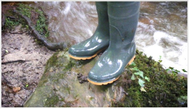 Wellies - Washed Away