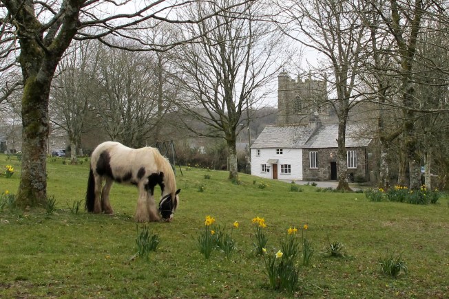 Horse on Village Green In England
